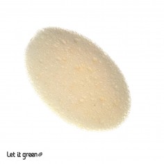 Esponja corporal biodegradable