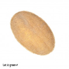 Esponja corporal biodegradable 2